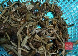 菇菌酱的做法图解1