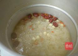 花样木瓜银耳羹――JIARU 的做法图解4