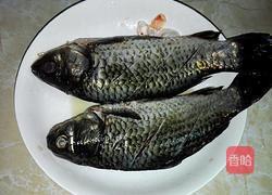 冬瓜鲫鱼汤的做法图解1