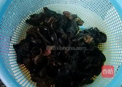 青瓜瘦肉炒木耳的做法图解1