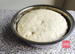 茴香包子的做法图解4