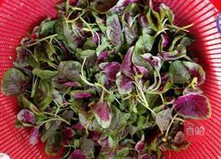 蒜蓉苋菜的做法图解4