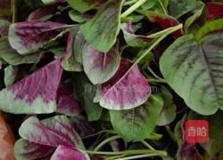 蒜蓉苋菜的做法图解2