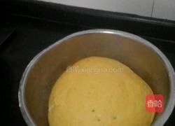 南瓜馒头的做法图解4