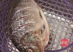 清蒸福寿鱼的做法图解1