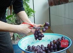 葡萄酒的做法图解2