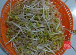 醋溜豆芽的做法图解1
