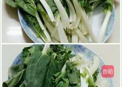 蒜蓉小白菜的做法图解2