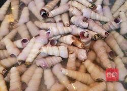 炝炒钉螺的做法图解2