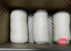 经典奶香土司的做法图解9