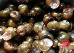 酸辣炒田螺的做法图解1