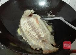 煎罗非鱼的做法图解4