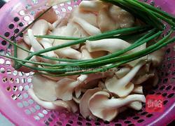 袖珍菇白豆腐汤的做法图解1