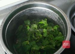 煮薄荷汤的做法图解3