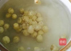 木瓜银耳汤的做法图解6