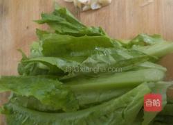 蒜蓉油麦菜的做法图解1