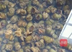 酱香螺蛳的做法图解1