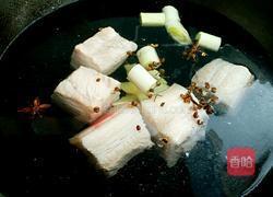 酸菜猪肉炖粉条的做法图解4