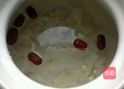 雪菊银耳羹的做法图解5