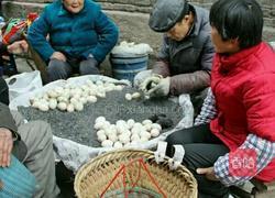 四川松花皮蛋的做法图解2