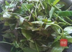 炒苦刺尖的做法图解1