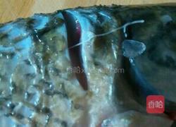 红烧鱼块的做法图解2