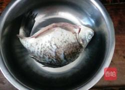 鲫鱼豆腐汤的做法图解2