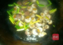 盐水玉螺的做法图解3