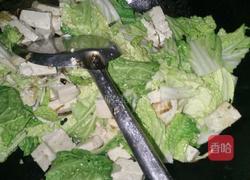 白菜炖粉条豆腐的做法图解4