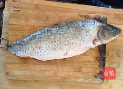 浇汁鱼的做法图解1