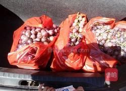 自酿葡萄酒的做法图解1