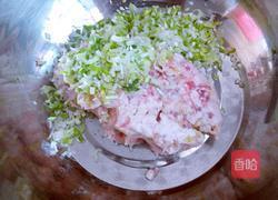 苦苦菜饺子的做法图解6