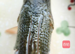 红烧鲈鱼的做法图解1