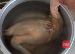 白切鸡的做法图解3