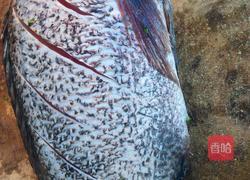 葱油罗非鱼的做法图解1