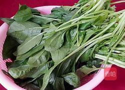 芝麻酱拌菠菜的做法图解1