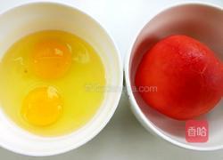 番茄炒蛋的做法图解2