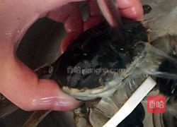 沙锅大闸蟹粥的做法图解2