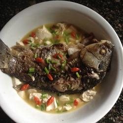 奶汤鲫鱼的做法[图]