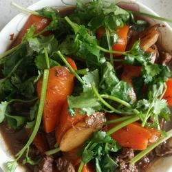 胡萝卜烧牛肉的做法[图]