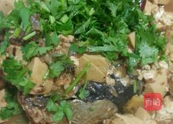 草鱼炖豆腐的做法图解8