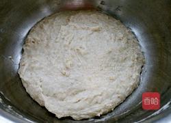 全麦波兰酵种土司的做法图解2