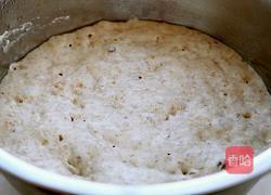 全麦波兰酵种土司的做法图解3