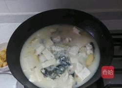 草鱼炖豆腐的做法图解3