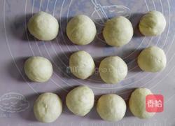 椰蓉花面包的做法图解5