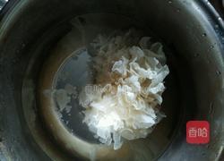桃胶百合银耳羹的做法图解4