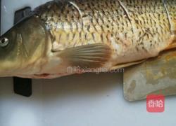 家常炖鲤鱼的做法图解2