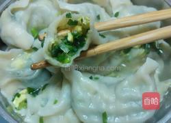 韭菜鸡蛋馅饺子的做法图解11