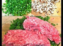 油豆腐皮煎饺的做法图解1