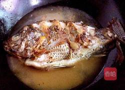 家烧海鲫鱼的做法图解6